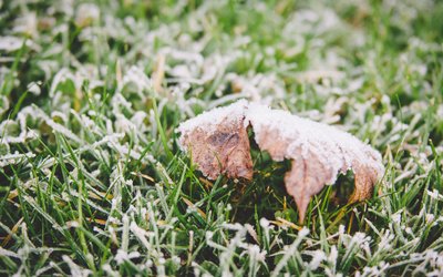 霜降｜ 秋將逝，冬將至