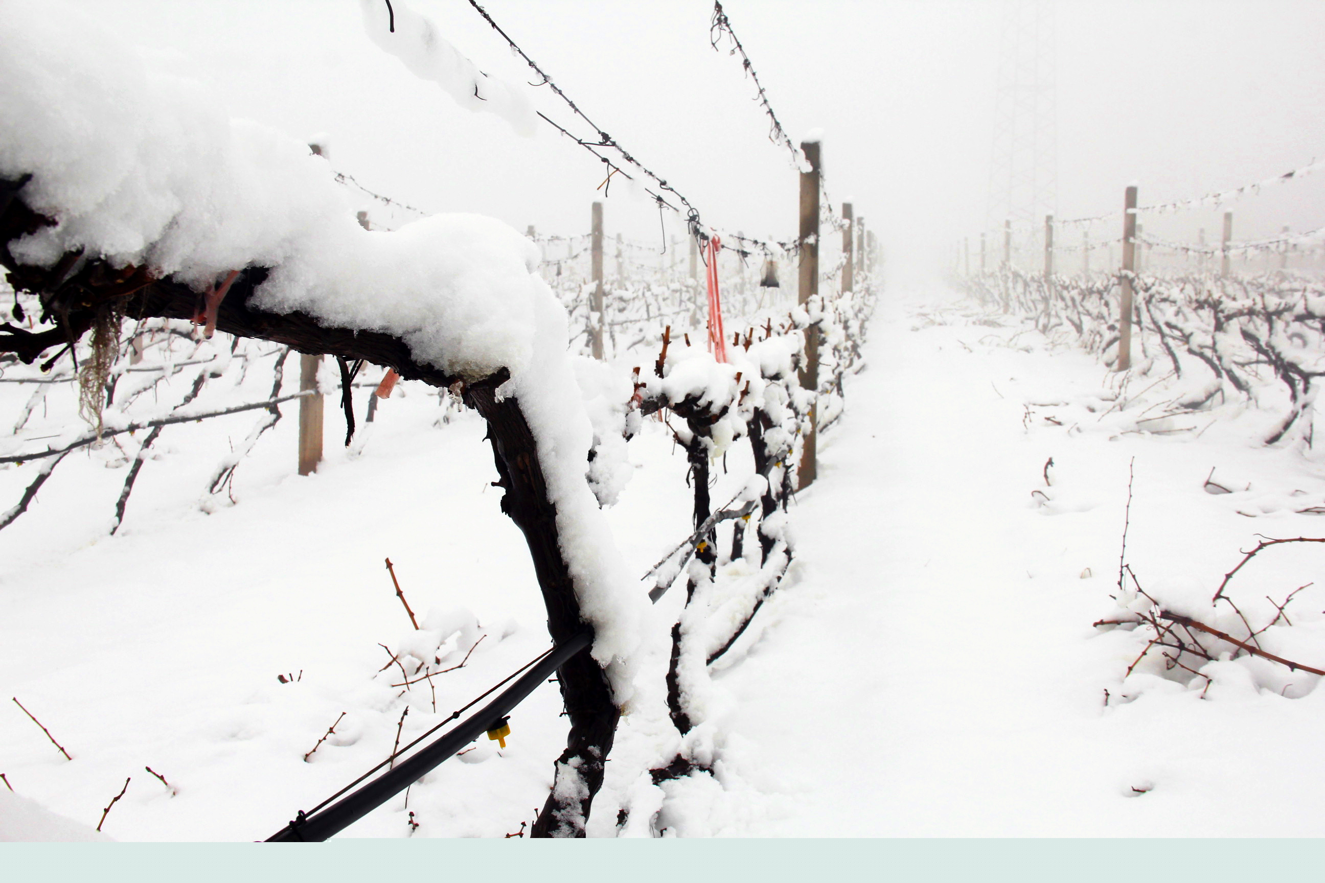 瑞雪兆豐年 ▎時光正好，歲月極美，何必覓遠方