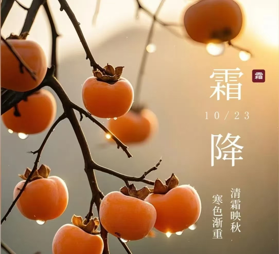 霜降||人間至此秋色盡，草木搖落露為霜